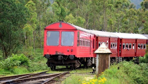 Célèbre Voyage Train Sri Lanka — Photo