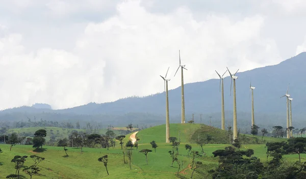 Kaunis Maisema Ambewelassa Nuwara Eliya — kuvapankkivalokuva