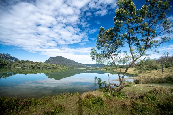 Kaunis Maisema Ambewelassa Nuwara Eliya — kuvapankkivalokuva