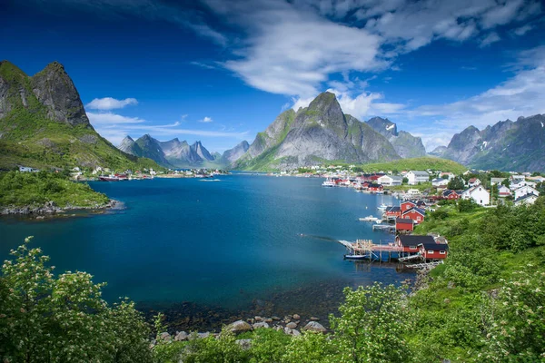Рыболовная Деревня Лофских Островах Летом Норвегия — стоковое фото