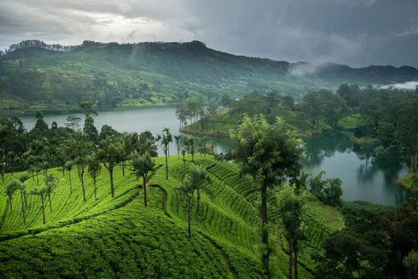 Bellissimo Paesaggio Maskeliya Sri Lanka — Foto Stock