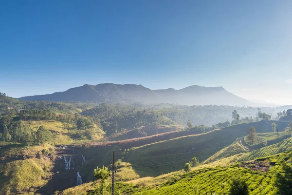 Schöne Teeplantagenlandschaft Maskeliya Gebiet Sri Lanka — Stockfoto