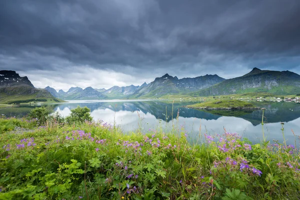 Schöne Landschaft Auf Den Lofoten Sommer Norwegen — Stockfoto