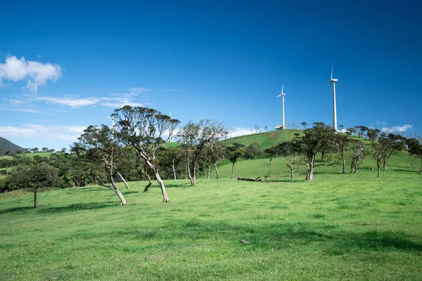 Prachtig Landschap Ambewela Nuwara Eliya — Stockfoto