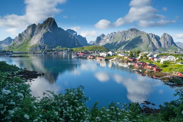 Schönes Fischerdorf Reine Auf Den Lofoten Sommer Norwegen — Stockfoto