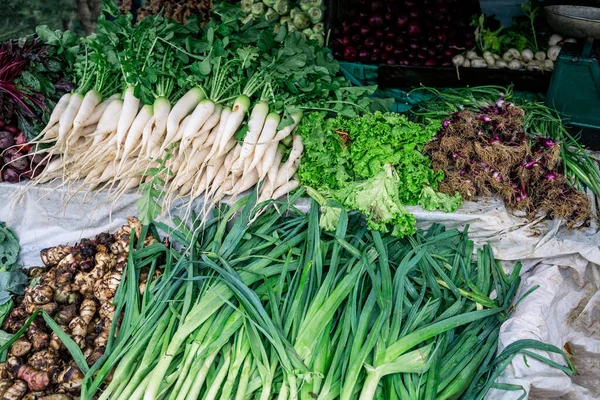 Vários Vegetais Tabela — Fotografia de Stock