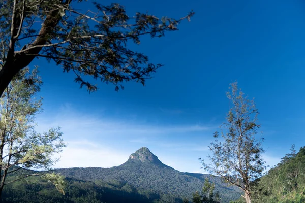 Sri Pada Adams Topp Sri Lanka — Stockfoto