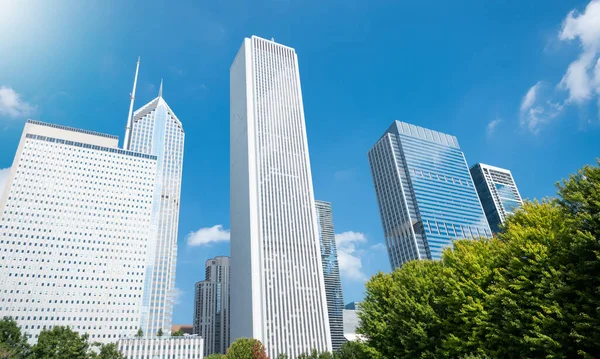 Chicago City Skyline Usa — Stock Photo, Image