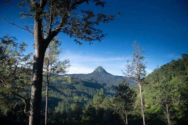 Sri Pada Pico Adão Sri Lanka — Fotografia de Stock