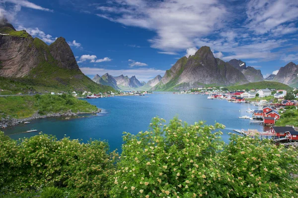Krásná Rybářská Vesnice Reine Lofotenských Ostrovech Létě Norsko — Stock fotografie