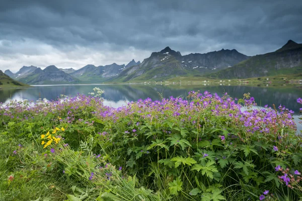 Schöne Landschaft Auf Den Lofoten Sommer Norwegen — Stockfoto