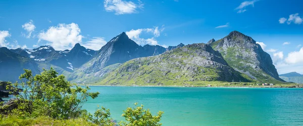 Gyönyörű Táj Lofoten Szigeteken Nyáron Norvégiában Jogdíjmentes Stock Képek