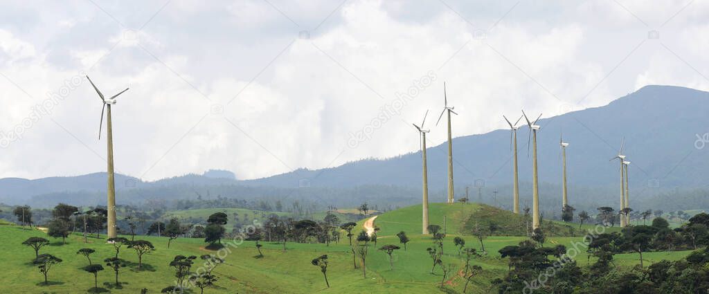 Beautiful landscape in Ambewela, Nuwara Eliya