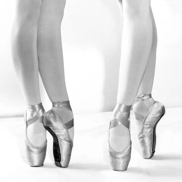 Zapatos Ballet También Llamados Zapatillas Ballet Zapato Ligero Diseñado Específicamente Fotos De Stock