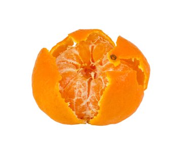 tropik portakal meyvesi