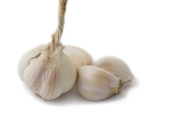 Bulbi di aglio piccanti — Foto Stock
