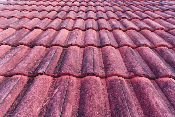 OLE kırmızı çatı