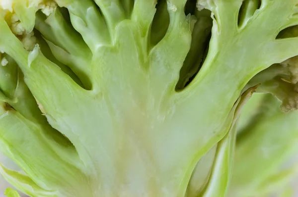 Čerstvý květák closeup — Stock fotografie