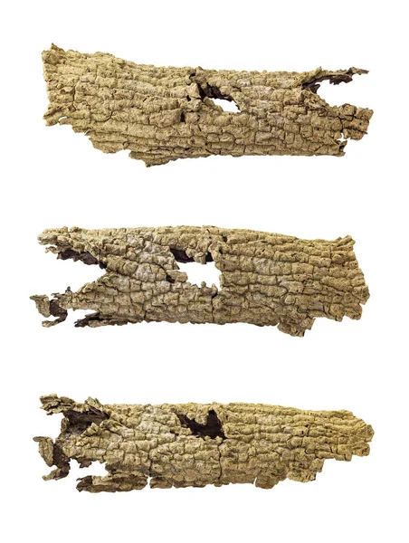 İzole ağaç kabuğu — Stok fotoğraf