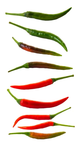 Chilifrukter — Stockfoto