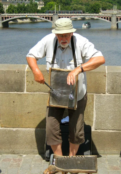 Musicista Strada Sul Ponte Carlo Praga Nell Estate Del 2013 — Foto Stock