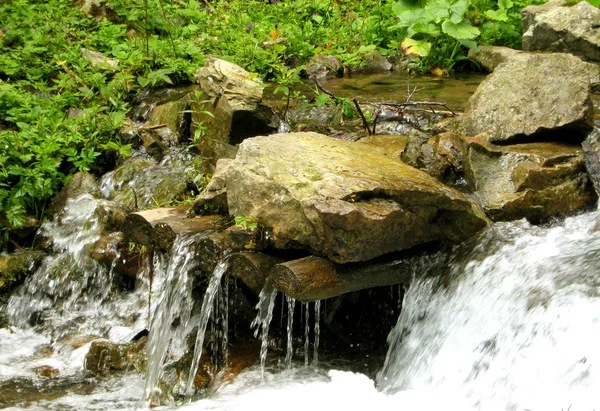 2008 yazında Karpatlar yağmurda sonra nehir dağ. 