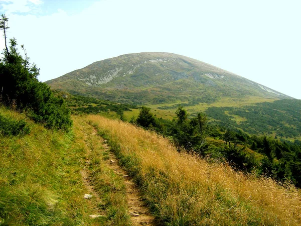 Vista Das Montanhas Região Ponto Mais Alto Ucrânia Goverly Verão — Fotografia de Stock