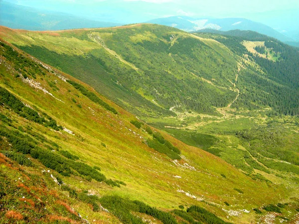 2008年夏天喀尔巴泰山脉山脉全景 — 图库照片