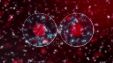 Hücre bölünmesi, kopya alanı ile bölme genel hücre kök hücreleri bölme. Tıp ve bilim kavramı. Organik hücre arka plan Full Hd ve 4k.