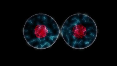 hücre bölünmesi 4k yüksek çözünürlüklü Mikrobiyoloji ile kan hücreleri veya bakteri altında mikroskop, popüler bilimsel arka plan, sorunsuz döngü, 3840 X 2160 
