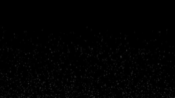 Bulles dans l'eau rapidement monter ou bouillir. Loopable animation 3D de l'eau pétillante sur fond blanc et noir. Ultra HD 4k 3840 2160 sur canal alpha 