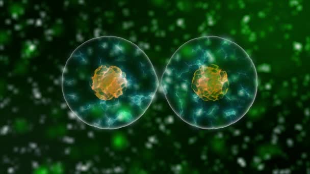Cell Division fondo verde oscuro 4K. Concepto médico y científico Vídeo 3D . — Vídeos de Stock