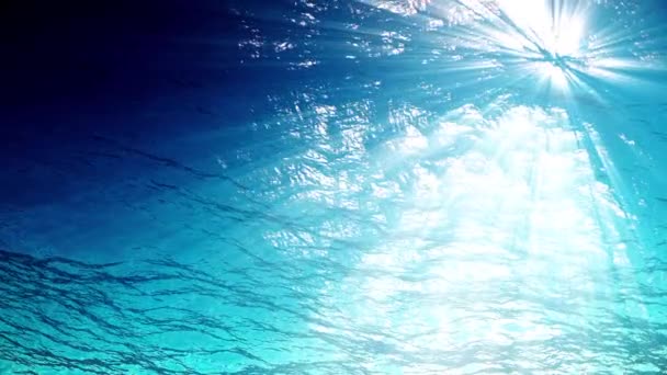 Animazione loop di onde oceaniche da sott'acqua con plancton galleggiante. Raggi di luce che brillano attraverso. Grande sfondo marino popolare. loop senza soluzione di continuità, UHD, ultra alta definizione 4k — Video Stock