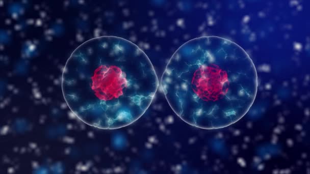 Микробиологический фон деления клеток с пурпурно-клеточным ядром и голубой неоновой цитоплазмой под микроскопом. Опулярный научный фон 4K . — стоковое видео