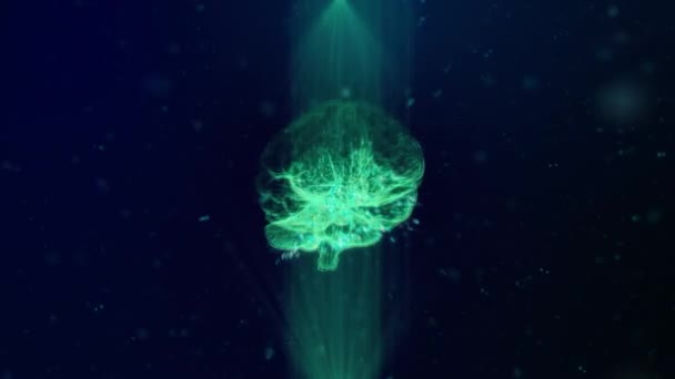 MRI of the brain. Hologram of the human brain rotates among particles of light in rays of blue and green. AI Artificial Intelligence. 3d render — Stock Video