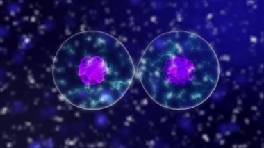 Koronavirüsün 3 boyutlu canlandırması. Bakteri ve virüs salgını, Coronavirus 2020 gibi mikroorganizmalara neden olan hastalık.