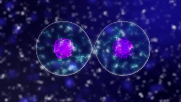 3D-Animation zur Darstellung eines Coronavirus. Krankheitserregender Ausbruch von Bakterien und Viren, krankmachende Mikroorganismen wie das Coronavirus 2020 — Stockvideo