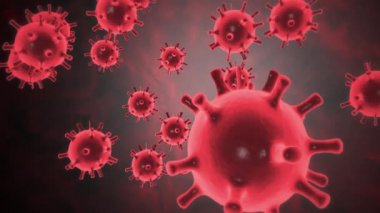 Mikroskop altında mikrop kapmış organizmanın içindeki Coronavirus 2019-ncov patojeni siyah arka plandaki kırmızı renkli hücreler gibi. Salgına yol açan tehlikeli virüs vakaları. 4k videosunda 3D görüntüleme.
