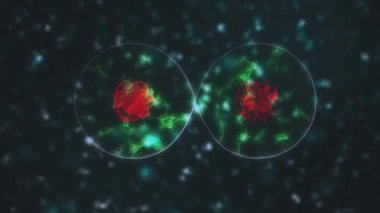 Kan damarlarındaki Coronavirus 2019-nCov 'un virüs hücreleri siyah zemin üzerinde mavi renkli hücreler olarak. Koronavirüs, SARS, MERS gibi tehlikeli virüs vakalarının animasyon konsepti. 3D görüntüleme 4K.