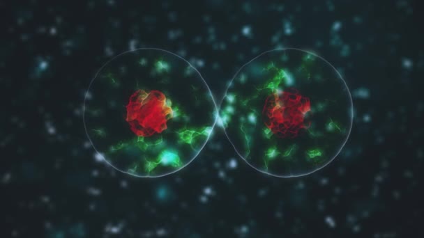 Células virais do coronavírus 2019-nCov em vasos sanguíneos como células de cor azul sobre fundo preto. Conceito animado de casos de estirpe de vírus perigosos como coronavírus, SARS, MERS. 3D renderização de vídeo 4K. — Vídeo de Stock