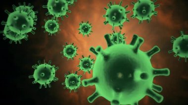 Coronavirus 2019-nCov patojeni, siyah zemin üzerinde yeşil hücreler olarak sunulan organizmanın içinde hareket eder. Koronavirüs, SARS, MERS gibi tehlikeli virüs vakaları. 3D görüntüleme 4K video kapanıyor.