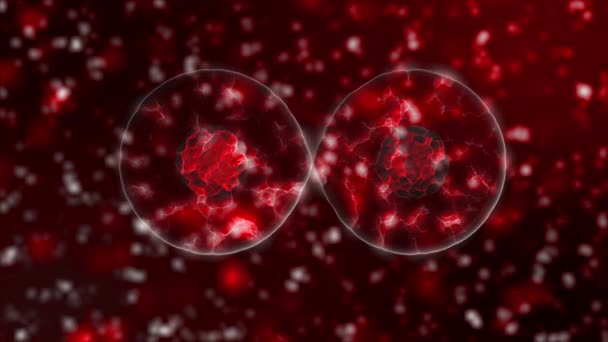 3D vizualizace viru. Patogeny, informace o novém 2019-ncov coronovirus, Sars. Epidemie v Číně — Stock video