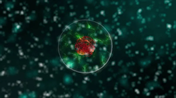 Patogen av coronavirus 2019-ncov inuti infekterade organismen i mikroskop som röda färgceller på svart bakgrund. Fall av farliga virusstammar som leder till epidemi. 3D-rendering på nära håll i 4k video. — Stockfoto