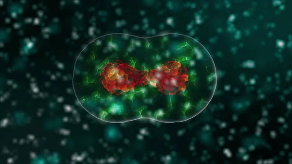 黒色の背景に赤い色の細胞として顕微鏡下で感染した生物の中のコロナウイルス2019-ncovの病原体。流行につながる危険なウイルス株の場合。3Dレンダリングクローズアップで4kビデオ. — ストック写真