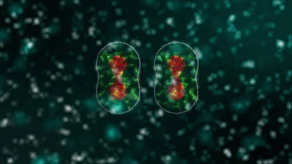 Pathogène du coronavirus 2019-nCov à l'intérieur de l'organisme infecté au microscope sous forme de globules rouges sur fond noir. Cas de souches virales dangereuses menant à l'épidémie. rendu 3d en gros plan dans la vidéo 4K . — Photo