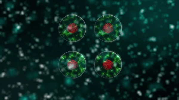 Patogen av coronavirus 2019-ncov inuti infekterade organismen i mikroskop som röda färgceller på svart bakgrund. Fall av farliga virusstammar som leder till epidemi. 3D-rendering på nära håll i 4k video. — Stockfoto