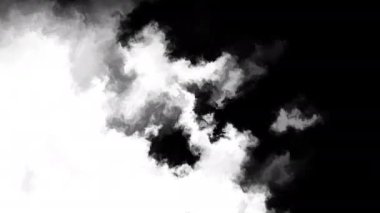 Güzel beyaz suluboya mürekkep siyah zemin üzerine geçiş yapar, boya kanar, daire şeklinde organik akış genişler, yayılır, yeni, serin, iyi, dinamik, dinamik, modern, güzel, 3d