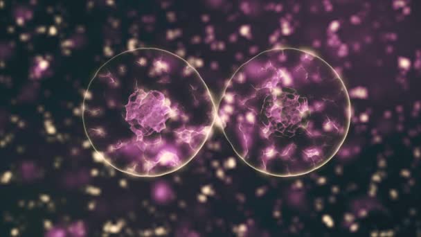 Pathogeen van het coronavirus 2019-nCov in geïnfecteerd organisme geïllustreerd als bruine ronde cellen op zwarte achtergrond. 2019-nCoV, SARS, H1N1, MERS en andere epidemische virussen concept. 3d weergave van 4K video. — Stockvideo