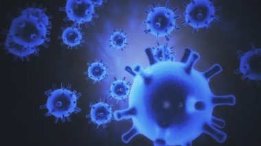 Mikrop kapmış organizmanın içindeki Coronavirus 2019-nCov patojeni siyah zemin üzerinde mavi renkli yuvarlak hücreler olarak sunuluyor. 2019-nCoV, SARS, H1N1, MERS ve diğer salgın virüsler konsepti. 4K içinde 3D görüntüleme.