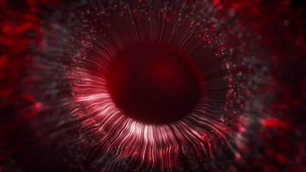 Linee di colore rosso e grigio dopo un flash scatter da un cerchio bianco brillante e formando modello volumetrico occhio umano. Iride umana del concetto di animazione oculare. 3d rendering sfondo astratto in 4K . — Video Stock